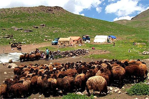 اختصاص کدپستی به خانوارهای عشایراستان قزوین